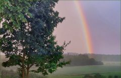 Regenbogen Regenbogen