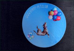 Aufkleber an einer Wand Aufkleber an einer Wand