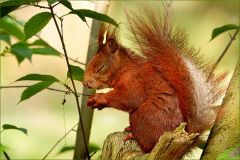 Mit geschlossenen Augen geniessend