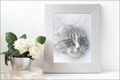 Katzenbild Katzenbild