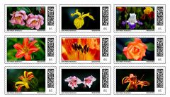 Briefmarken mit meinen Blumenfotos Briefmarken mit meinen Blumenfotos