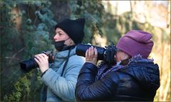 Fotografinnen am Waldrand Fotografinnen am Waldrand