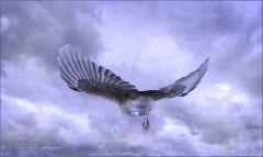 Flug in die Wolken Flug in die Wolken