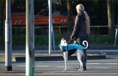 Frau mit Hund Frau mit Hund
