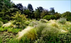 Pflanzenvielfalt Pflanzenvielfalt