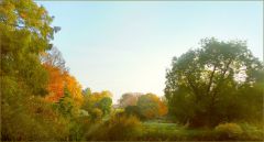 Herbstmorgen Herbstmorgen