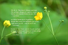Ein Gedicht meines Grossvaters Ein Gedicht meines Grossvaters
