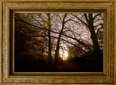 Erwachender Dezembermorgen