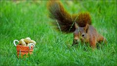 Annäherung Annäherung