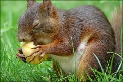 Geniessend.... Geniessend....