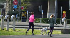 Joggerinnen mit Hund Joggerinnen mit Hund