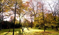 Morgenlicht im Herbst