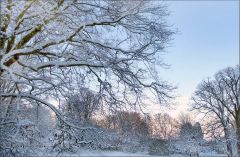 Wintermorgen Wintermorgen