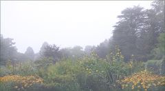 Morgennebel im September Morgennebel im September