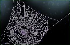 Ein Naturwunder Ein Naturwunder