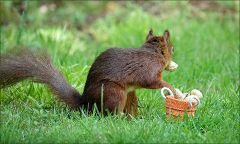 Es dreht sich um Es dreht sich um