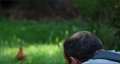 Der Fotograf fotografiert ein Eichhörnchen Der Fotograf fotografiert ein Eichhörnchen