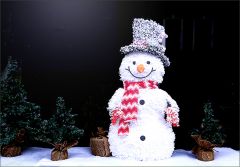 Schneemann Schneemann