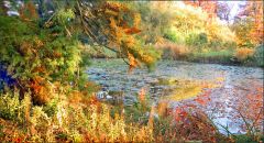 Kleiner Waldsee Kleiner Waldsee
