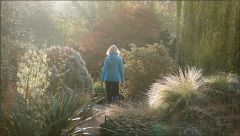 Morgennebel im November