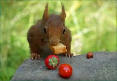 Frühstück Frühstück