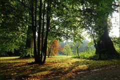 Der Herbst liegt in der Luft