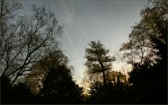 Kurz vor Sonnenaufgang