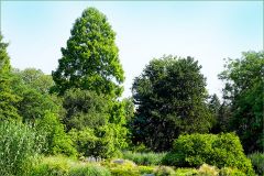 Julisommer Julisommer