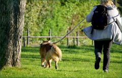 Frau mit Hund Frau mit Hund