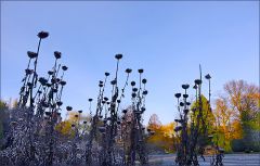 Kalter Wintermorgen Kalter Wintermorgen