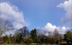 Schönwetterwolken Schönwetterwolken
