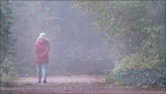 Morgennebel im November