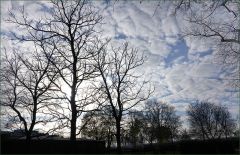 Morgenhimmel im April Morgenhimmel im April