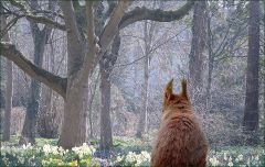 Fruehlingsmorgen im Maerz Fruehlingsmorgen im Maerz