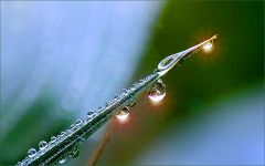 Regentropfen Regentropfen