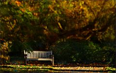 Bank im November Bank im November