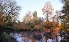 Waldsee im Februar Waldsee im Februar