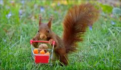 Im März vor einem Jahr Im März vor einem Jahr