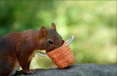 So geht es... So geht es...