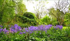 Frühlingsfarben im Mai Frühlingsfarben im Mai