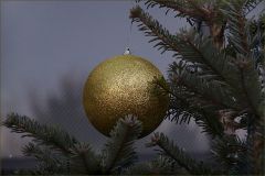 Morgennebel im Dezember