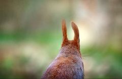 Rückblick am 21. Januar 2021 Rückblick am 21. Januar 2021