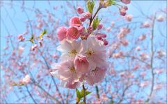 Frühlingsluft Frühlingsluft