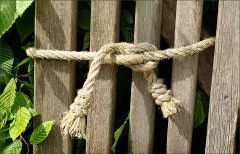 Gartenzaun Gartenzaun