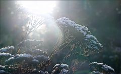 Morgenlicht im Dezember Morgenlicht im Dezember