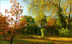 Herbstmorgen Herbstmorgen