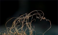 Vertrocknetes Gras Vertrocknetes Gras