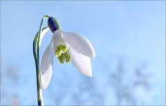 Guten Morgen Guten Morgen