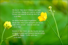 Mai - Ein Gedicht meines Grossvaters Mai - Ein Gedicht meines Grossvaters