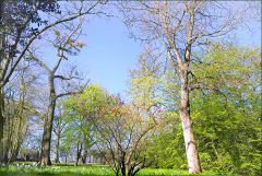 Frühlingsluft Frühlingsluft